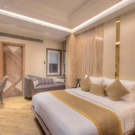 The Singh Empire, A Luxury Hotel, New Delhi-3
