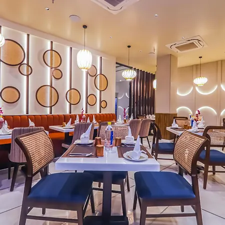 Hotel Godwin Deluxe New Delhi Awarded Best Hotel 2025- Free Airport Pick-Up-2